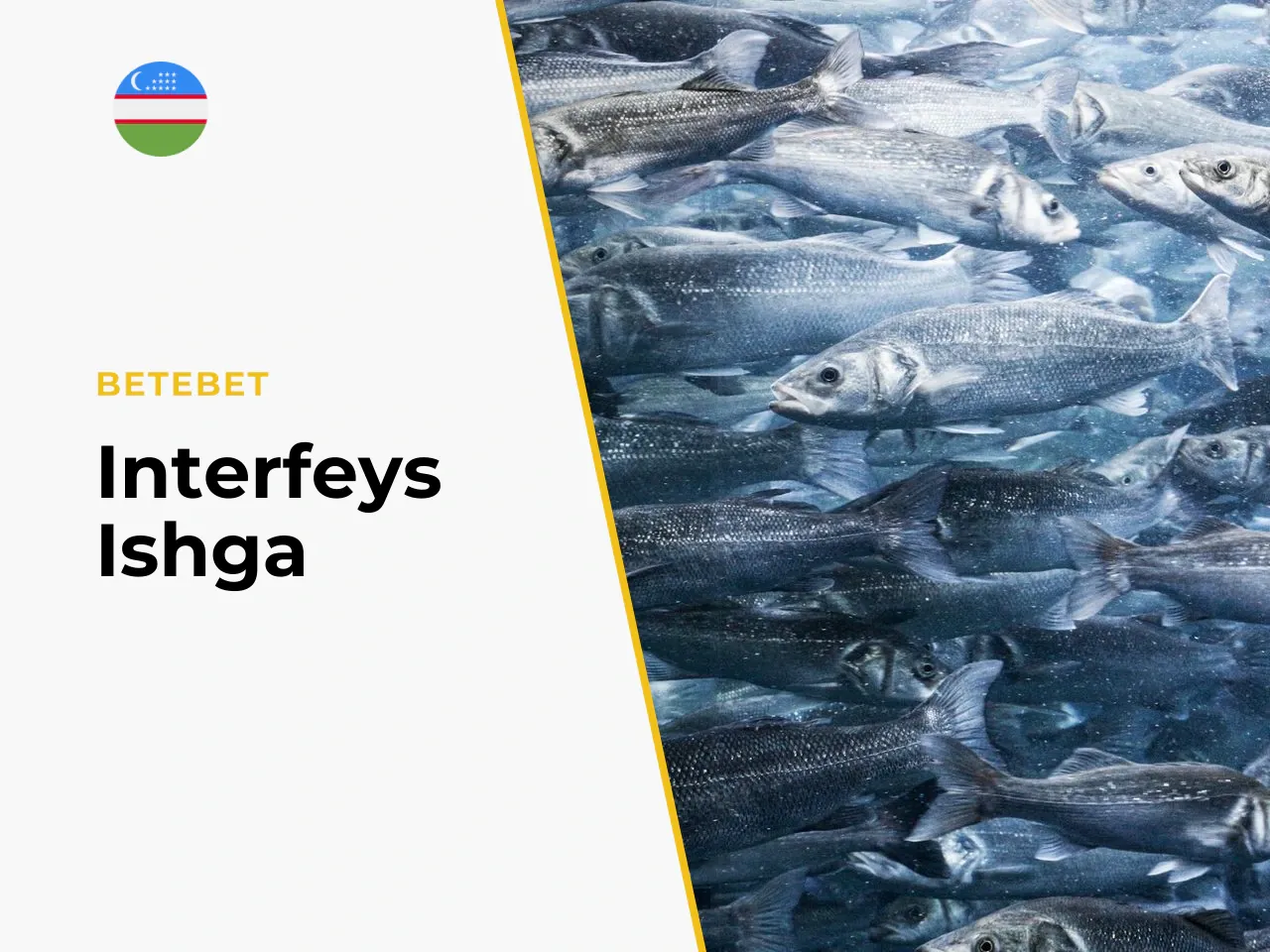 Big Bass Bonanza'da qanday o ynash